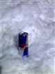 Eine RedBull Dose im Schnee